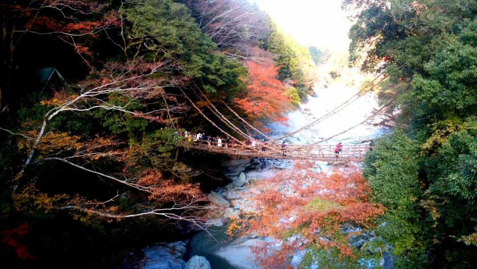 四国一周旅3日目：祖谷のかずら橋（徳島県）