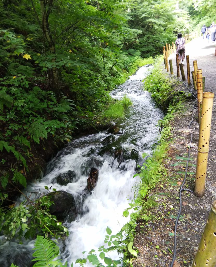 【白糸の滝に行ってみた】長野県軽井沢の清涼感たっぷりパワースポット