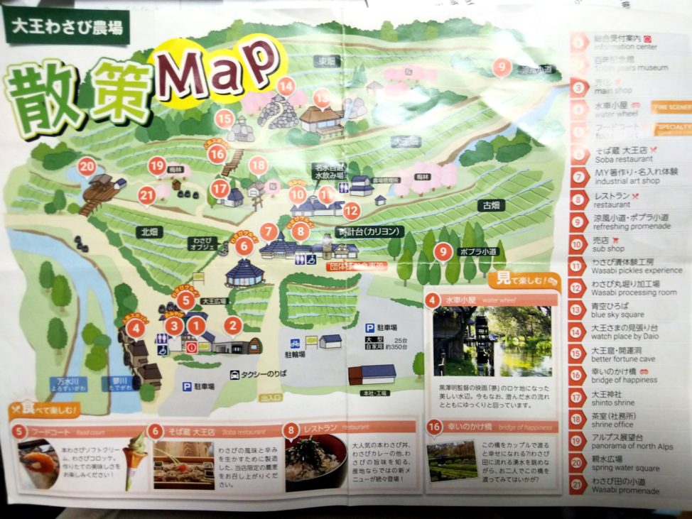 【わさび農場ののどかな風景は必見】長野県安曇野にある無料観光スポット