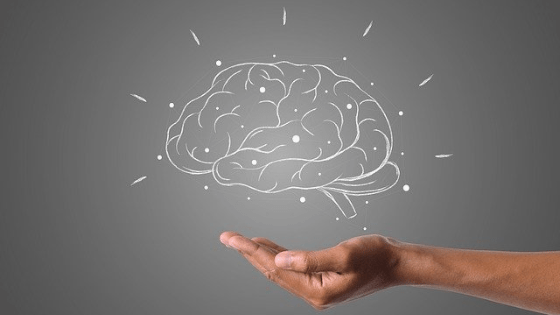 筋トレのメリット：脳機能の改善、認知症の予防