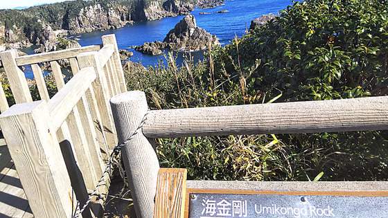 【めちゃ尖ってる】展望台から見る海金剛の迫力！和歌山県串本町の隠れた観光スポット