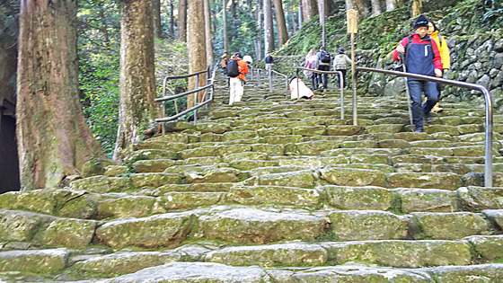【日本一の那智の滝をレビュー】世界遺産の那智大社と青岸渡寺も観光してみた感想