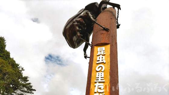 【巨大カブトムシだけじゃない！】道の駅「昆虫の里たびら」の自販機には食用の昆虫が