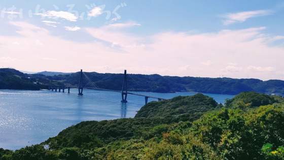 【鷹島肥前大橋と透き通る海】観光すべき道の駅「鷹ら島」の絶景を写真たっぷりで紹介